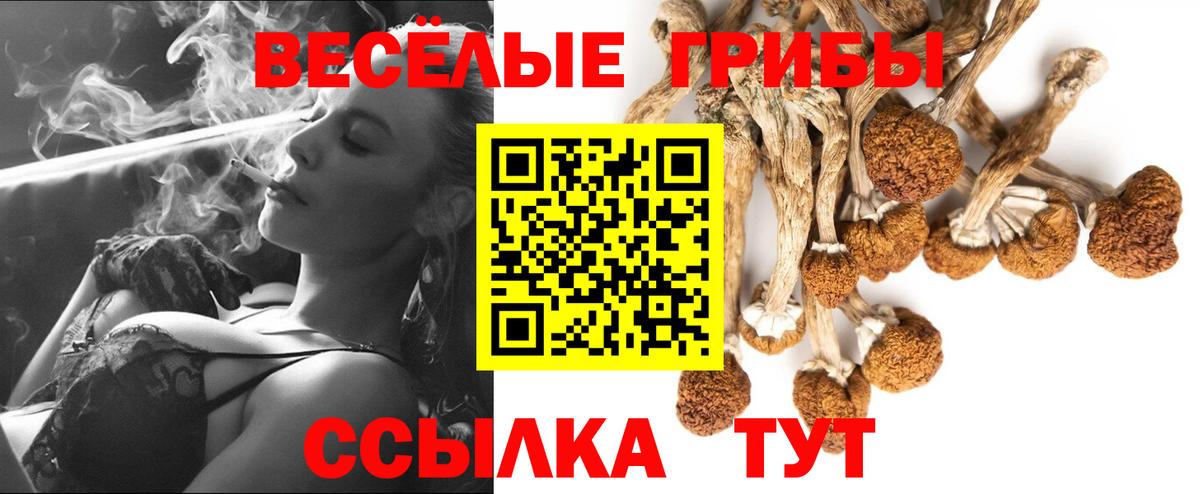 где можно купить наркотик  Галлюциногенные грибы Magic Shrooms  Вход с VPN  Дзержинск 