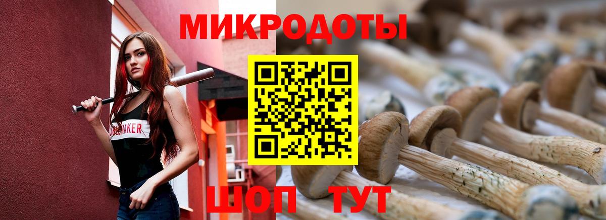 Галлюциногенные грибы MAGIC MUSHROOMS Дзержинск